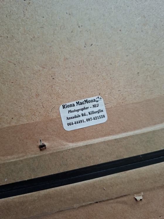 Image 1 of Deux superbes photos signées par Riona MacMonagle, dans leurs cadres d'origine.