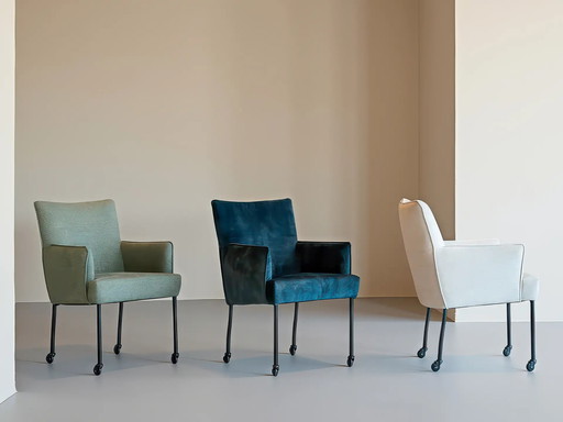 Nardo (lot de 3)