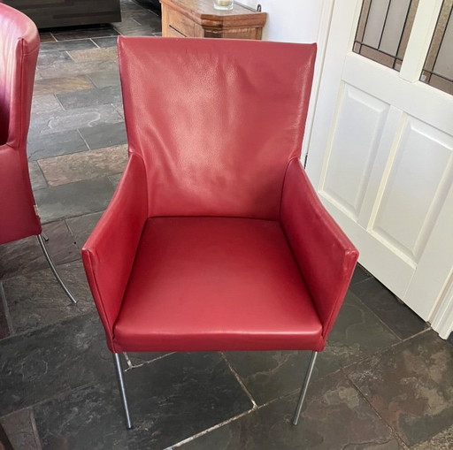 6 Ledersessel – Bert Plantagie, eetkamerstoelen, Leather, rvs