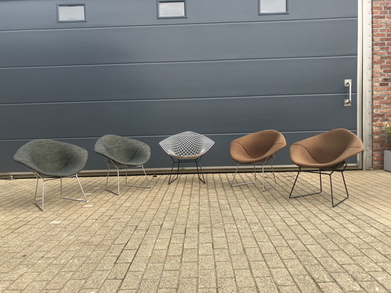 Image 1 of 2 chaises originales Knoll Bertoia Diamond