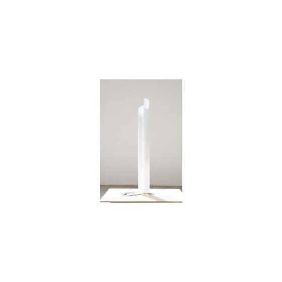 Image 1 of Vintage floor lamp Chimera, 1960