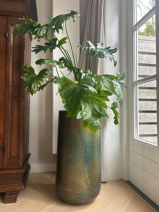Bellissimo grande Vasi per piante in metallo 70cm con pianta Philodendron