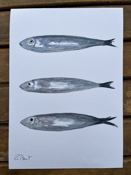 Watercolor on paper, 21x15cm. "Sardines"