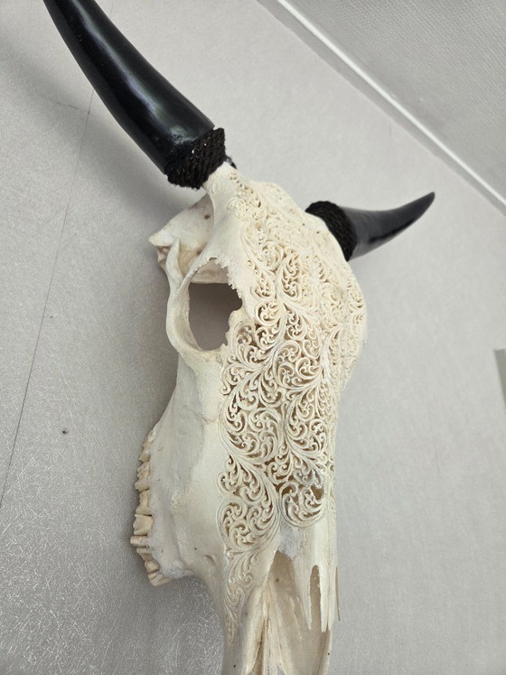 Image 1 of Hand-Carved Cow Skull – Unique Fern Motif (Boho-Ibiza)