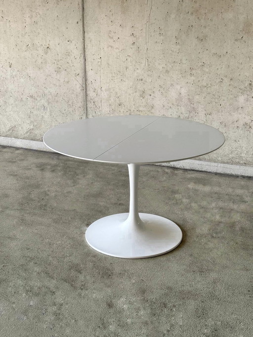 Uitschuifbare Tulip tafel, rond-ovaal van Eero Saarinen