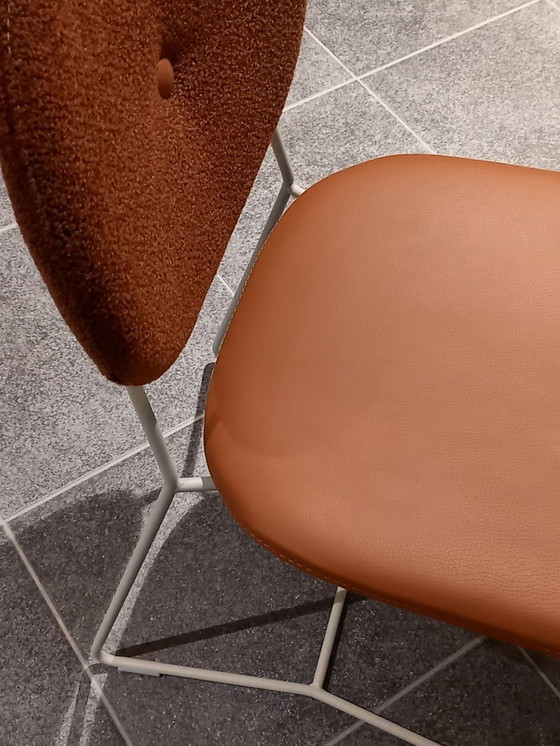 Image 1 of BertPlantagie enset Daisy S/4