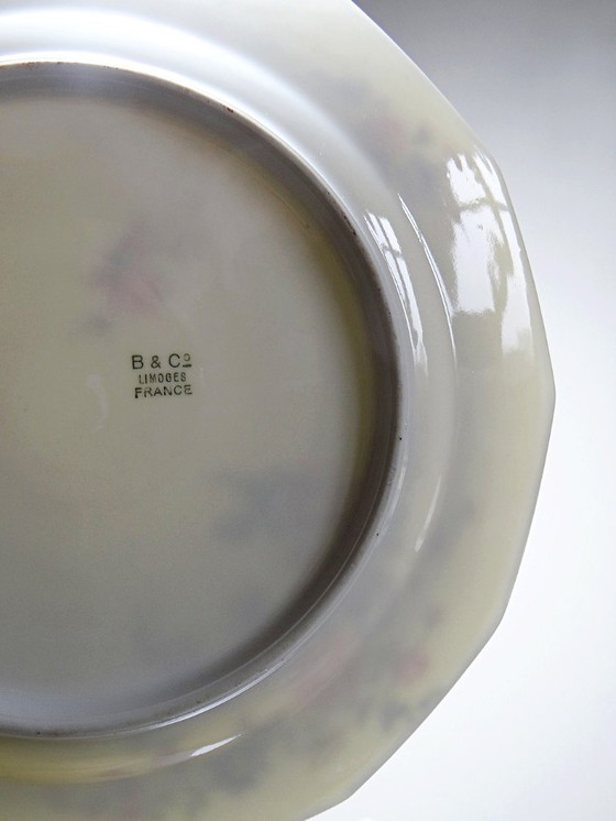 Image 1 of 4 Bernardaud Limoges Porzellan-Speiseteller mit floralem Dekor aus den 1920er-1950er Jahren