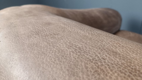 Image 1 of Gorgeous Brown Leather DS47 Sofa from De Sede