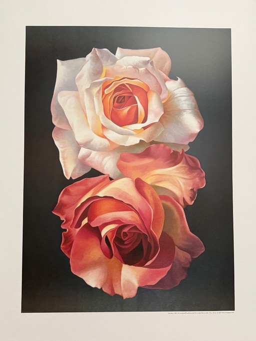 Franco Campana: "Due Rose, 1999." Signed in the Plate. Beautiful Colors!