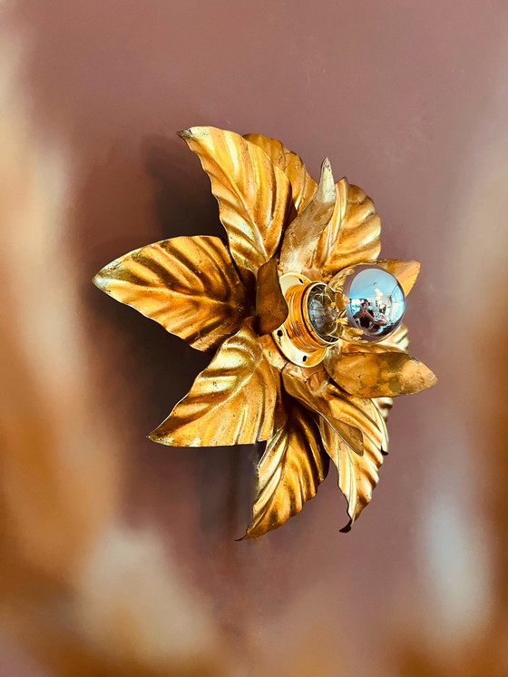 Image 1 of Bellissima lampada da parete a forma di foglia (Hans Kogl)