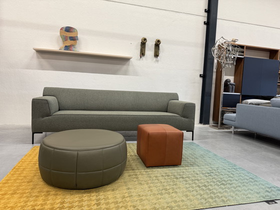 Image 1 of Design su Stock Barrell 80 Pelle basca Forrest