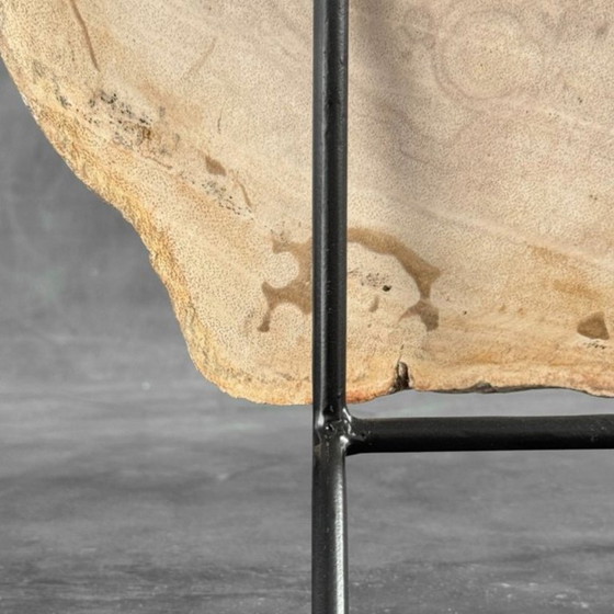 Image 1 of Madera fosilizada de Sooka, soporte hecho a medida (nuevo)