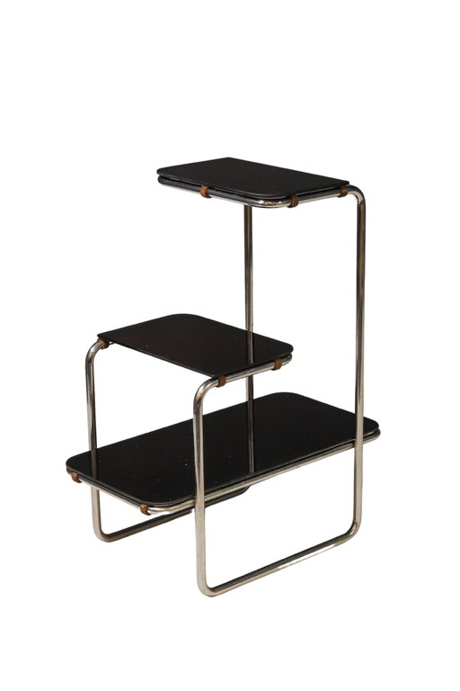 Functionalist Étagère B8 by Anton Lorenz for Slezák Company, 1930s–1940s