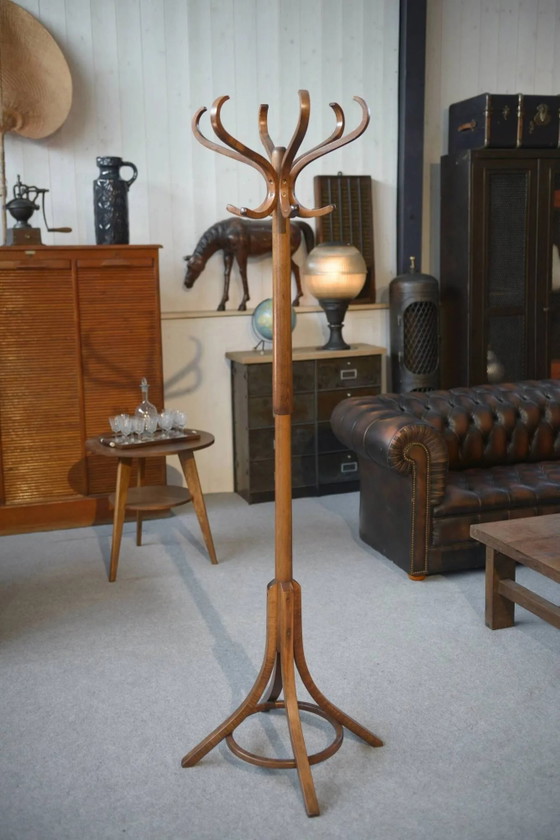 Parrot coat rack published by Baumann 1970 – Wood, Vintage (photo 7 of 8)