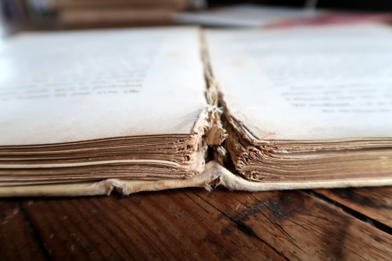 Image 1 of Livre illustré français ancien "Mon Ami L'Oiseau Bleu" de Guy Chantepleure, c.1900 – Art Nouveau – 2C43