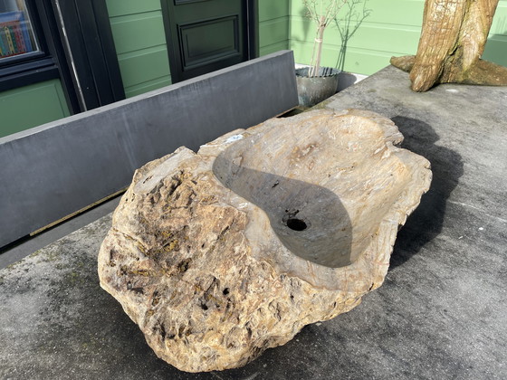 Image 1 of Unieke badkamer waskom petrified wood. 