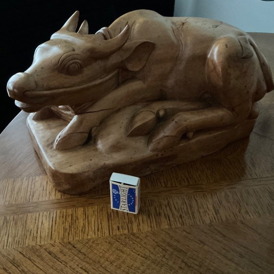 Image 1 of Water Buffalo from Indonesia “Unica”