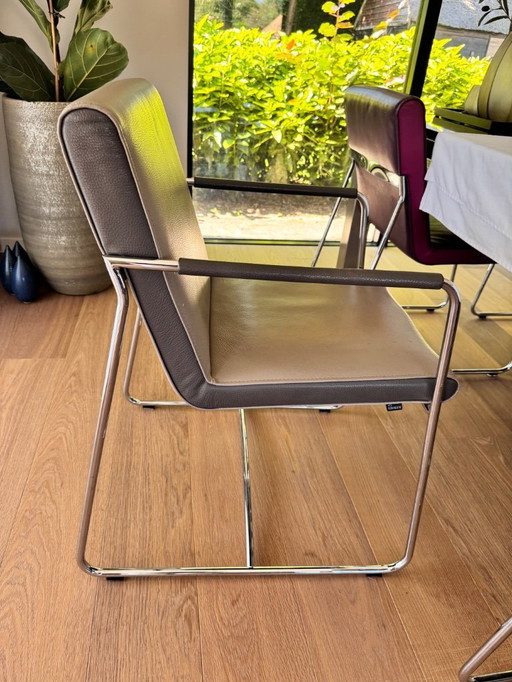 Leolux Spring eetkamer stoelen