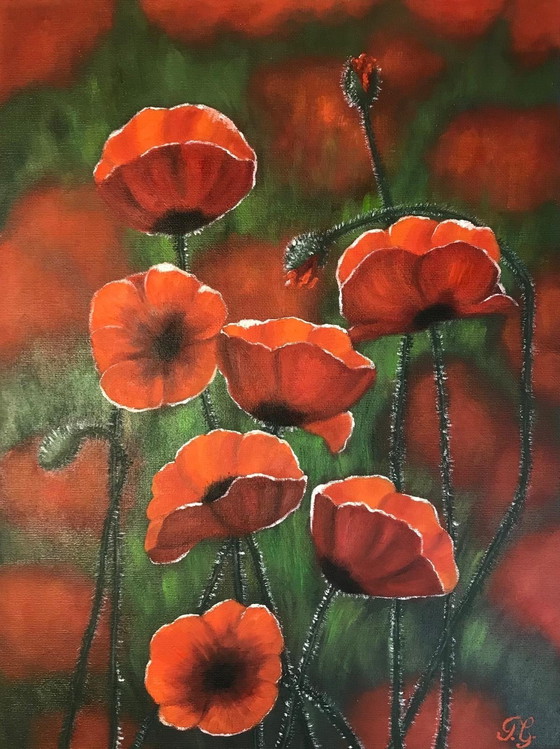 Image 1 of Pintura al óleo - Irina Gauss - Amapolas en verano