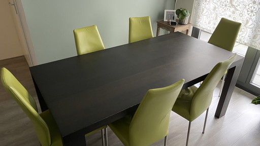 Table de salle à manger et 6 chaises en cuir vert