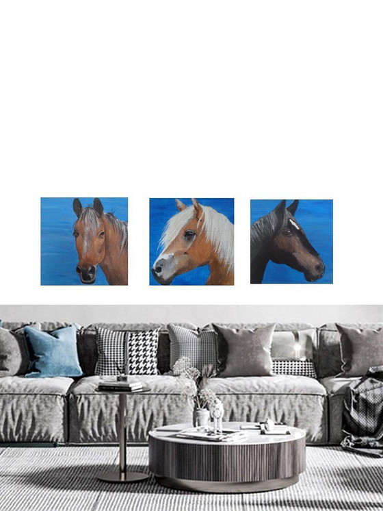 Image 1 of Pferdebilder 3 Stück