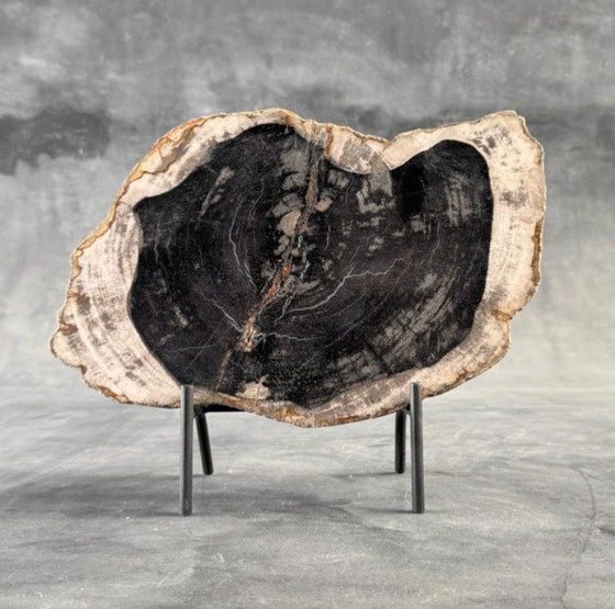 Image 1 of Bois fossilisé – Plaque en bois pétrifié avec un support sur mesure.