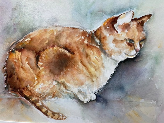 Image 1 of Gato. Acuarela de Margo Ellen.