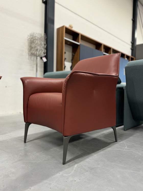 Image 1 of Leolux Mayuro Armchair Ceras Maroon Leather