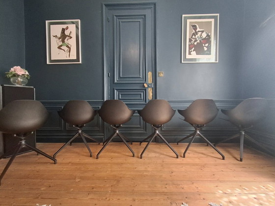 Image 1 of 6 chaises CHISTERA de Roche Bobois