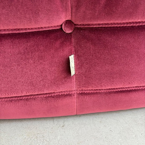 Image 1 of Chauffeur togo violett