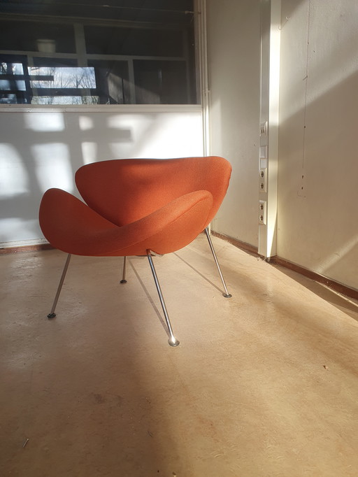 Artifort Orange slice