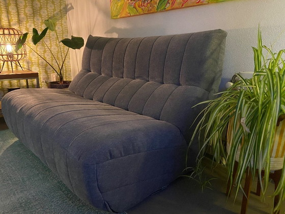 Image 1 of Bella - Bright Living 2 of 4 zits