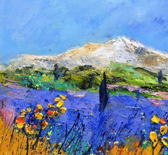 Image 1 of Lavender in Provence