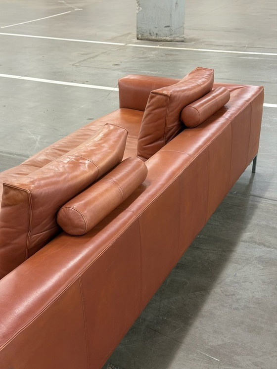 Image 1 of Design on Stock Aikon Lounge | Pelle color cognac