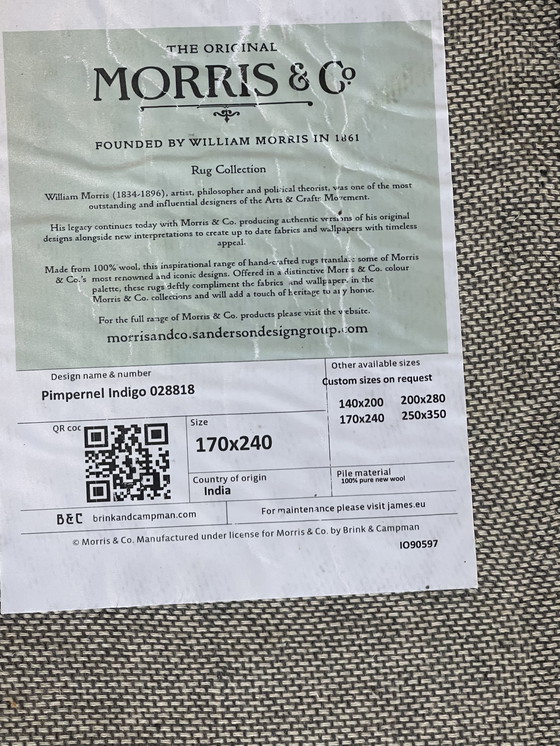 Image 1 of Tappeto Brink en Campman Morris & Co Pimpernel