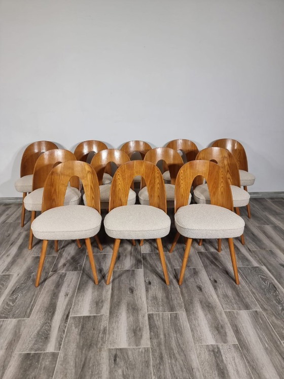 Image 1 of Dining Chairs from Antonin Suman, set of 12