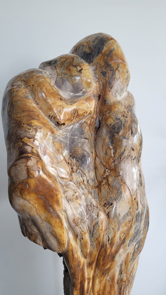 Image 1 of Escultura única, "madre e hijo" en madera petrificada.