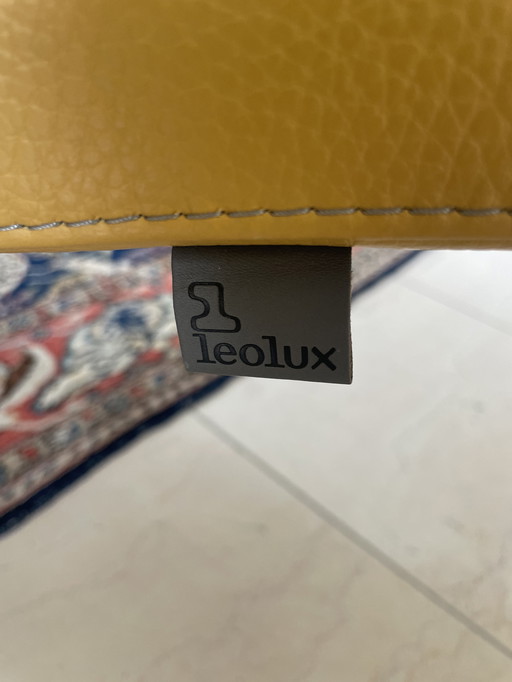 Poltroncina girevole Leolux Parabolica