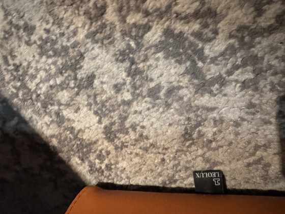 Image 1 of Poltroncina Amphora Leolux Design Moderno Leer