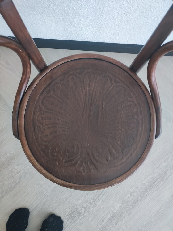 Image 1 of Chaise Thonet Cosmos classique