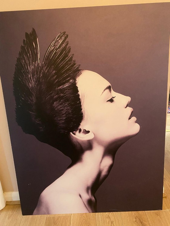 Image 1 of Boconcept black swan metal print - Frida Uma.