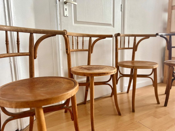 Sedie da bistrot Cambier/Luterma – Sedie da pranzo, Legno (photo 2 of 18)