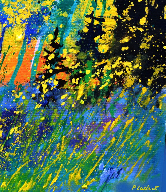 Image 1 of Coucher de soleil dans les bois