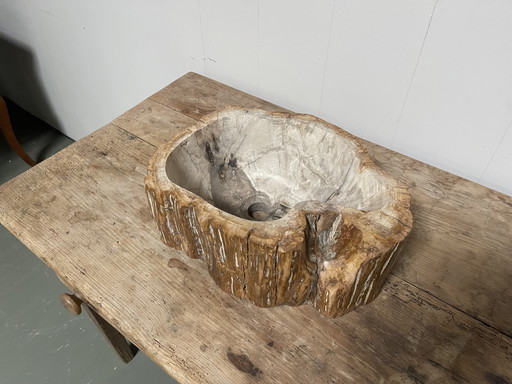 Lavabo en bois fossilisé. Bois fossilisé – decoratie, Stone, Wood (photo 2 of 5)