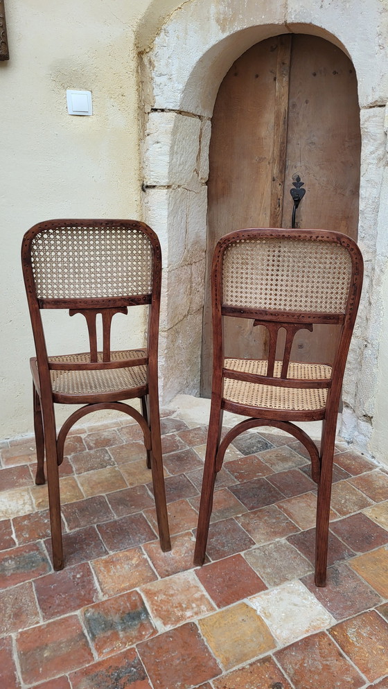 Image 1 of Art Nouveau Bentwood Stoelen / Fischel (*2)