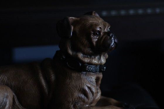 Image 1 of Bild eines Hundes