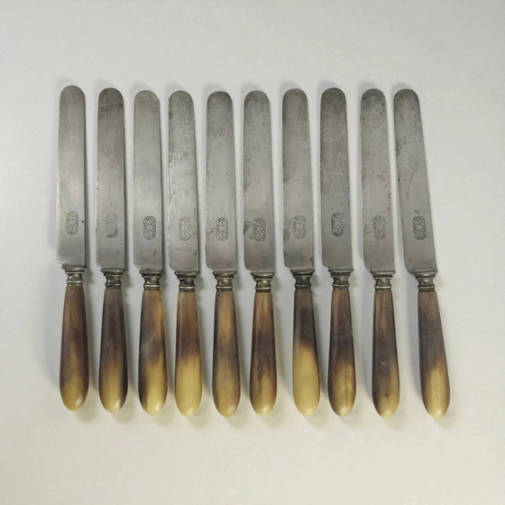 11 Coltelli Corno e Acciaio TD Paris – Set di posate, polished steel, Art Deco (photo 2 of 8)