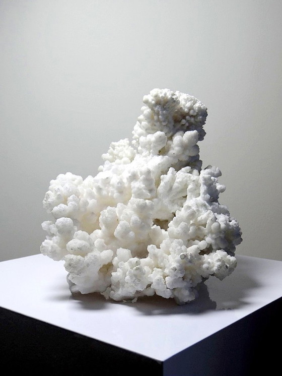 Image 1 of Collezione di minerali, esemplare antico di aragonite bianca dal Messico, +3,2 kg