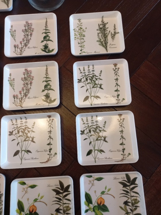 Image 1 of Vassoi botanici del marchio italiano Van Mebel (22)