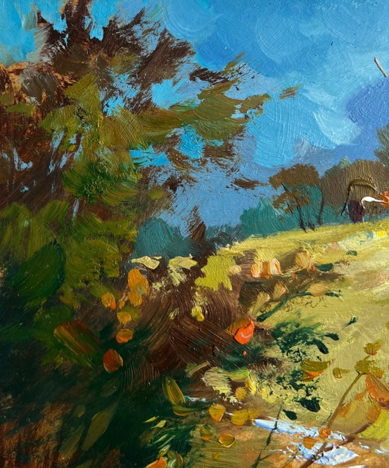 Image 1 of Origineel olieverfschilderij: Landschap bij een zomerhuis. Een rustige weg naar inheemse plekken.
